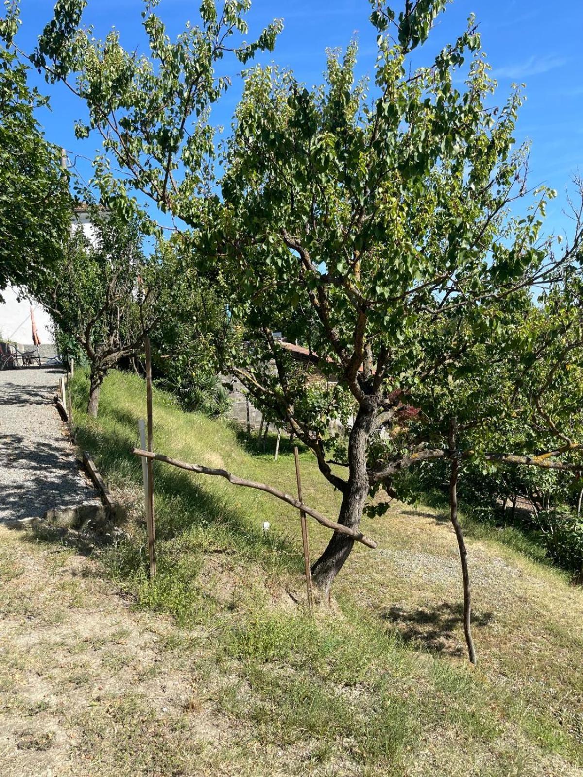 Casa Petra - Casa Tre Stelle - Casa Caneva - Ferien Fuer 6-14 Personen Ponti Exterior foto